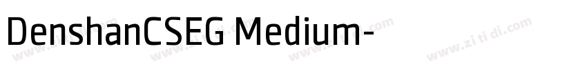 DenshanCSEG Medium字体转换